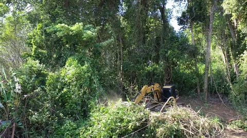 Deforestation. Excavator clearing rainforest Video stock 122658747