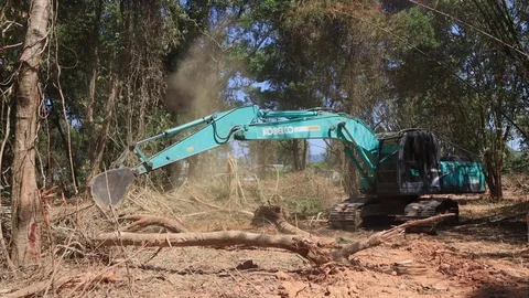 Deforestation. Excavator clearing rainforest Stock Footage 123567867