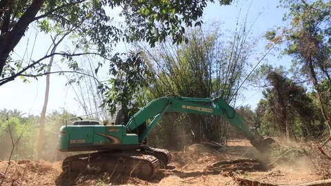 Deforestation. Excavator clearing rainforest Stock Footage 123615248