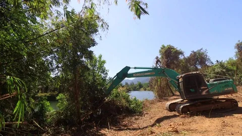 Deforestation. Excavator clearing rainforest Stock Footage 123639103