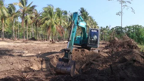 Deforestation. Excavator clearing rainforest Stock Footage 128165062