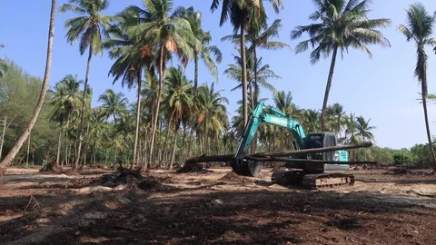 Deforestation. Excavator clearing rainforest Stock Footage 128483380