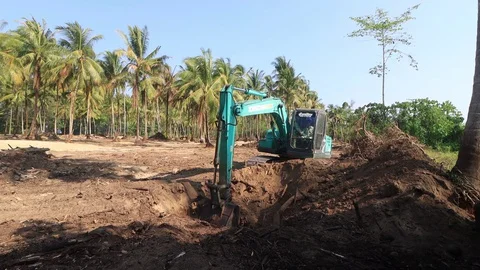 Deforestation. Excavator clearing rainforest Stock Footage 128483534