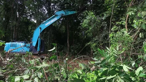 Deforestation. Excavator clearing rainforest Stock Footage 131128367