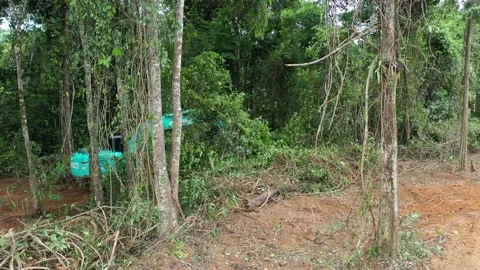Deforestation. Excavator clearing rainforest Stock Footage 131293769