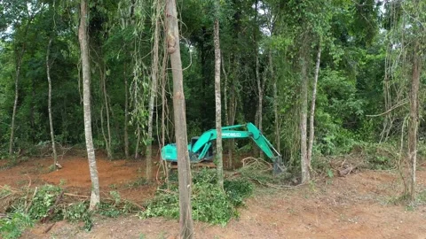 Deforestation. Excavator clearing rainforest Stock Footage 132947940