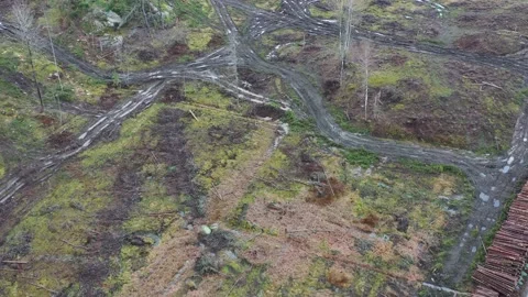 Deforestation filmed from above Stock Footage 147684526