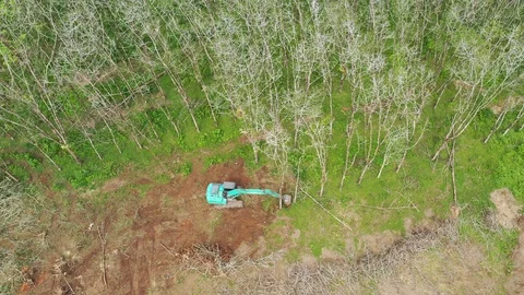 Deforestation Stock-Footage 100577840