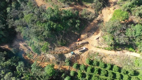 Deforestation Video stock 101287682