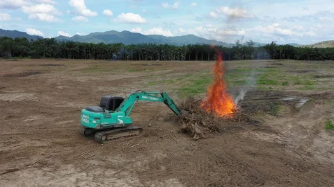 Deforestation Stock Footage 101418434