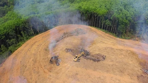 Deforestation Stock Footage 103980530