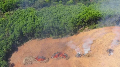 Deforestation Stock Footage 103980844