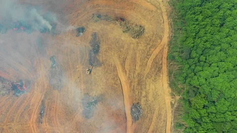 Deforestation Stock Footage 103980936