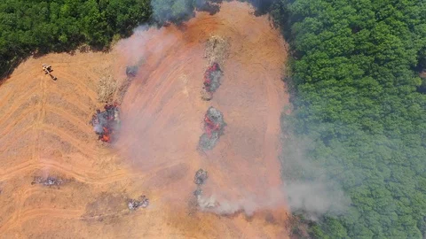 Deforestation Stock Footage 103980977