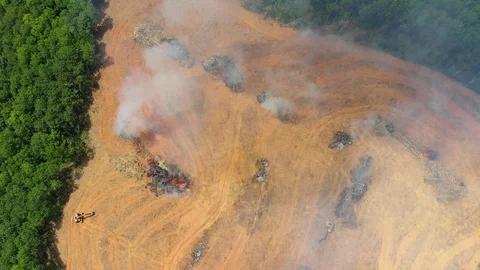 Deforestation Stock Footage 103981359