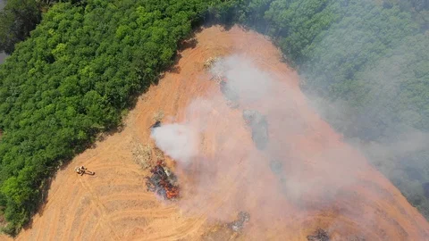 Deforestation Stock Footage 104840130