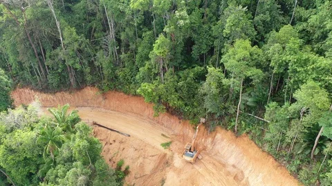 Deforestation Stock Footage 108585499