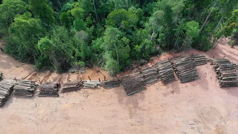 Deforestation Stock Footage 108586400