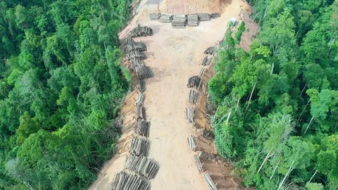 Deforestation Stock Footage 108586423