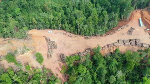 Deforestation Stock Footage 108586504