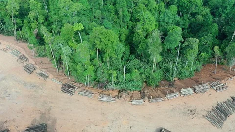 Deforestation Stock Footage 108586505