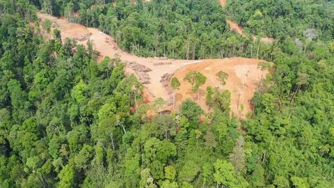 Deforestation Stock Footage 108586561