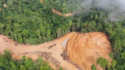 Deforestation Stock Footage 108586568