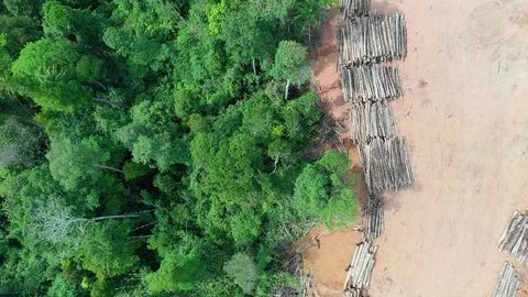 Deforestation Stock Footage 108586631