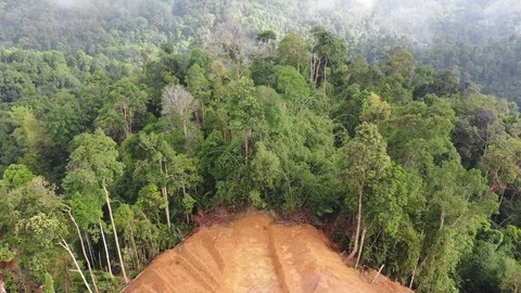 Deforestation Stock Footage 108586848