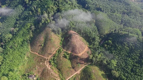 Deforestation Stock Footage 112778225