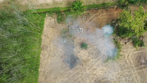 Deforestation Stock-Footage 120497442