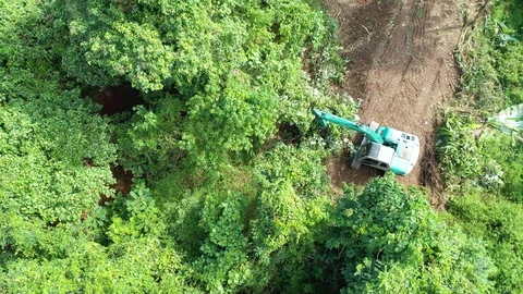 Deforestation Stock Footage 120586956