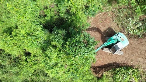 Deforestation Stockbeeldmateriaal 120586962