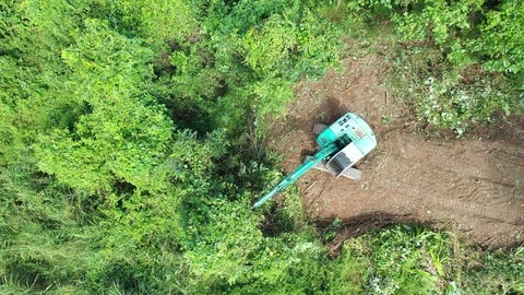 Deforestation Stockbeeldmateriaal 120586992