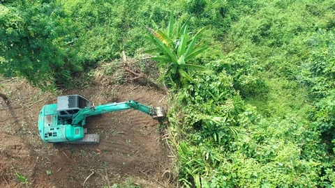 Deforestation Stock Footage 120586999