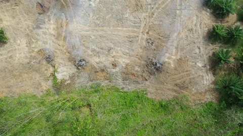 Deforestation Stock Footage 120615268