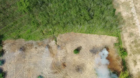 Deforestation Stock Footage 120615276