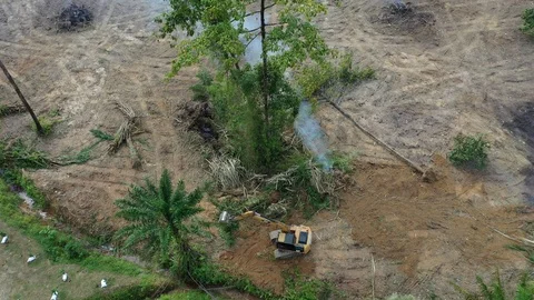Deforestation Stock Footage 120832366