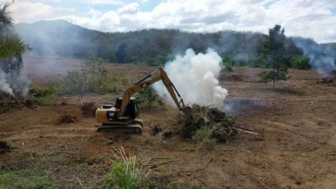 Deforestation Stock Footage 120832665