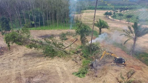 Deforestation Stock Footage 120833150