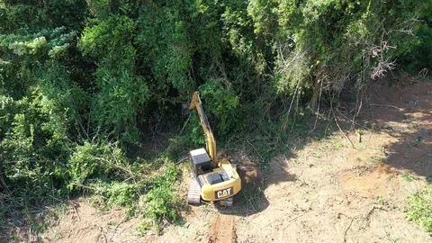 Deforestation Stock Footage 121150179