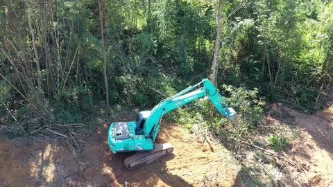 Deforestation Stock Footage 121188204