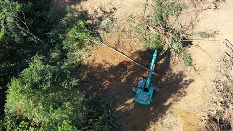 Deforestation Video stock 121188584