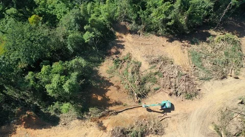 Deforestation Stock Footage 121940370