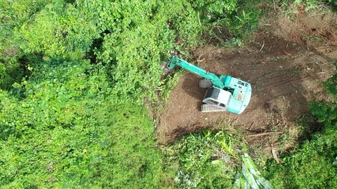 Deforestation Stock Footage 122124952