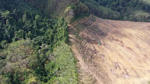 Deforestation Stock Footage 122189604