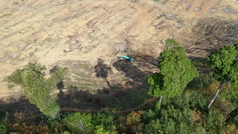 Deforestation Stock Footage 122189648