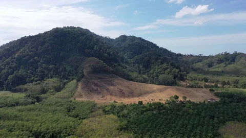 Deforestation Stock Footage 122202126