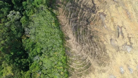 Deforestation Video stock 122202139