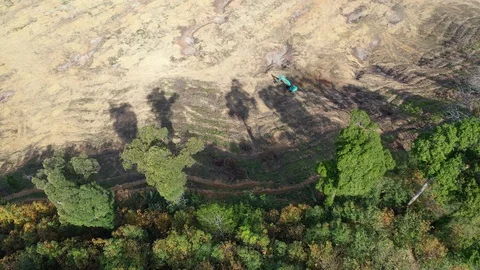 Deforestation Stock Footage 122202204
